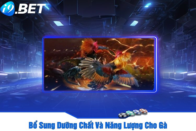 Bổ Sung Dưỡng Chất Và Năng Lượng Cho Gà