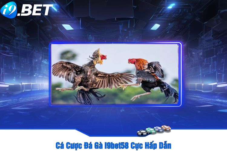 Cá Cược Đá Gà I9bet58 Cực Hấp Dẫn