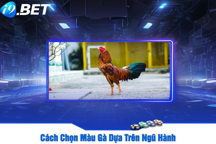 Cách Chọn Màu Gà Dựa Trên Ngũ Hành