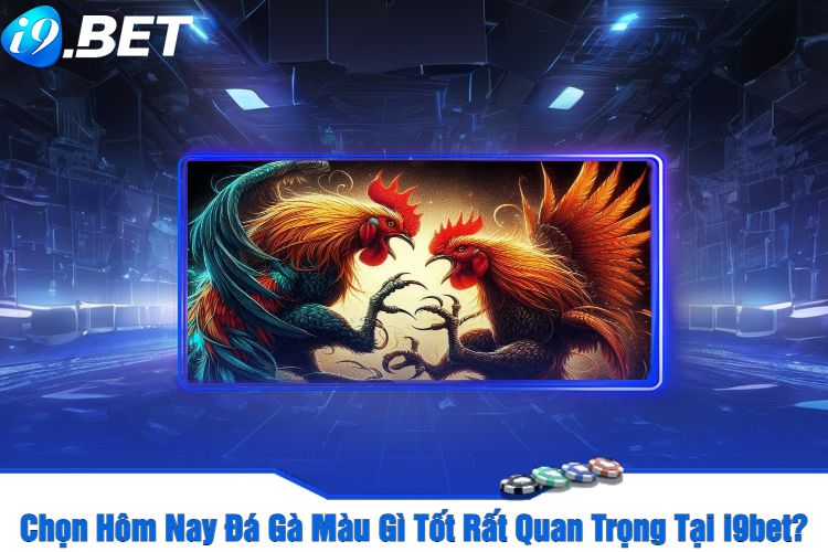 Chọn Hôm Nay Đá Gà Màu Gì Tốt Rất Quan Trọng Tại i9bet?