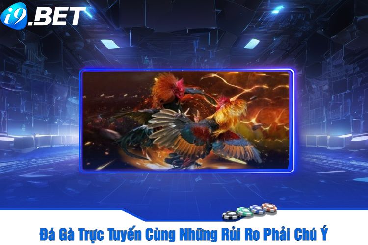 Đá Gà Trực Tuyến Cùng Những Rủi Ro Phải Chú Ý