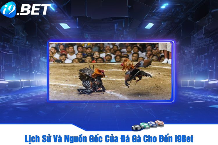 Lịch Sử Và Nguồn Gốc Của Đá Gà Cho Đến i9Bet